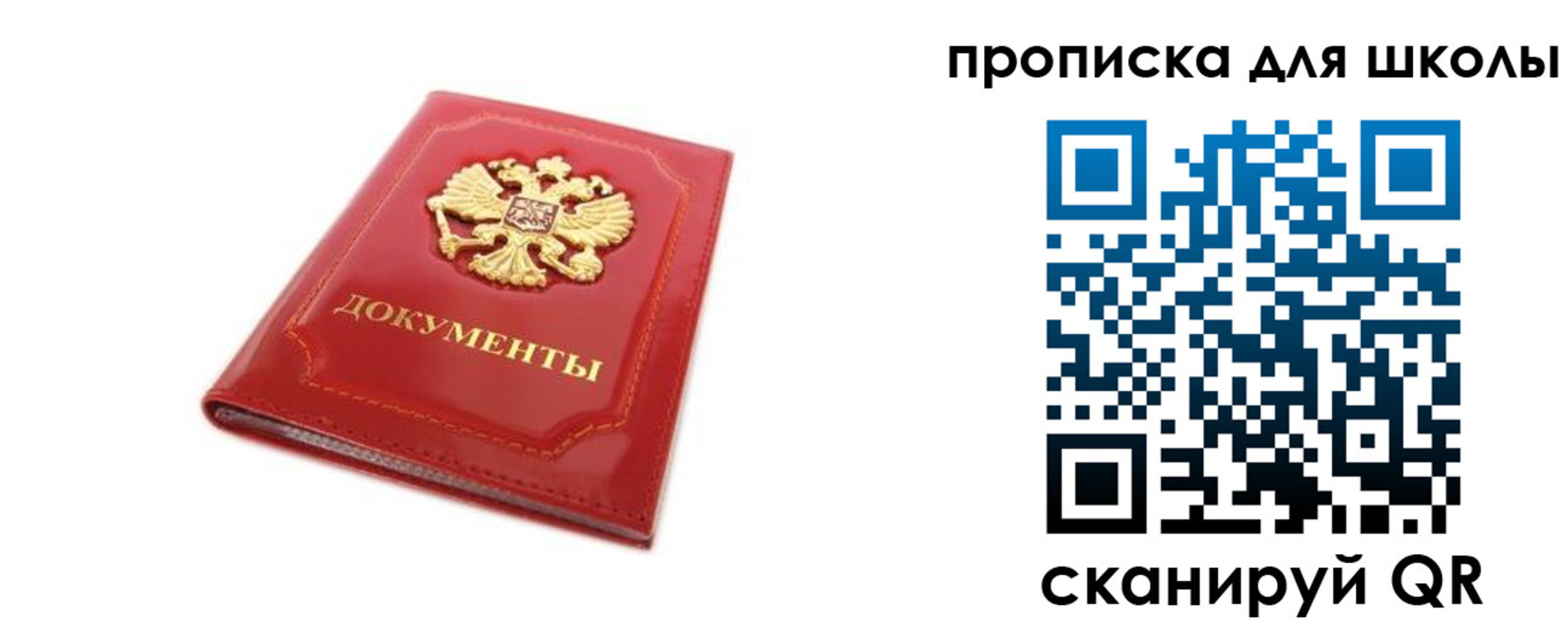 прописка для школы в Ленинградской области