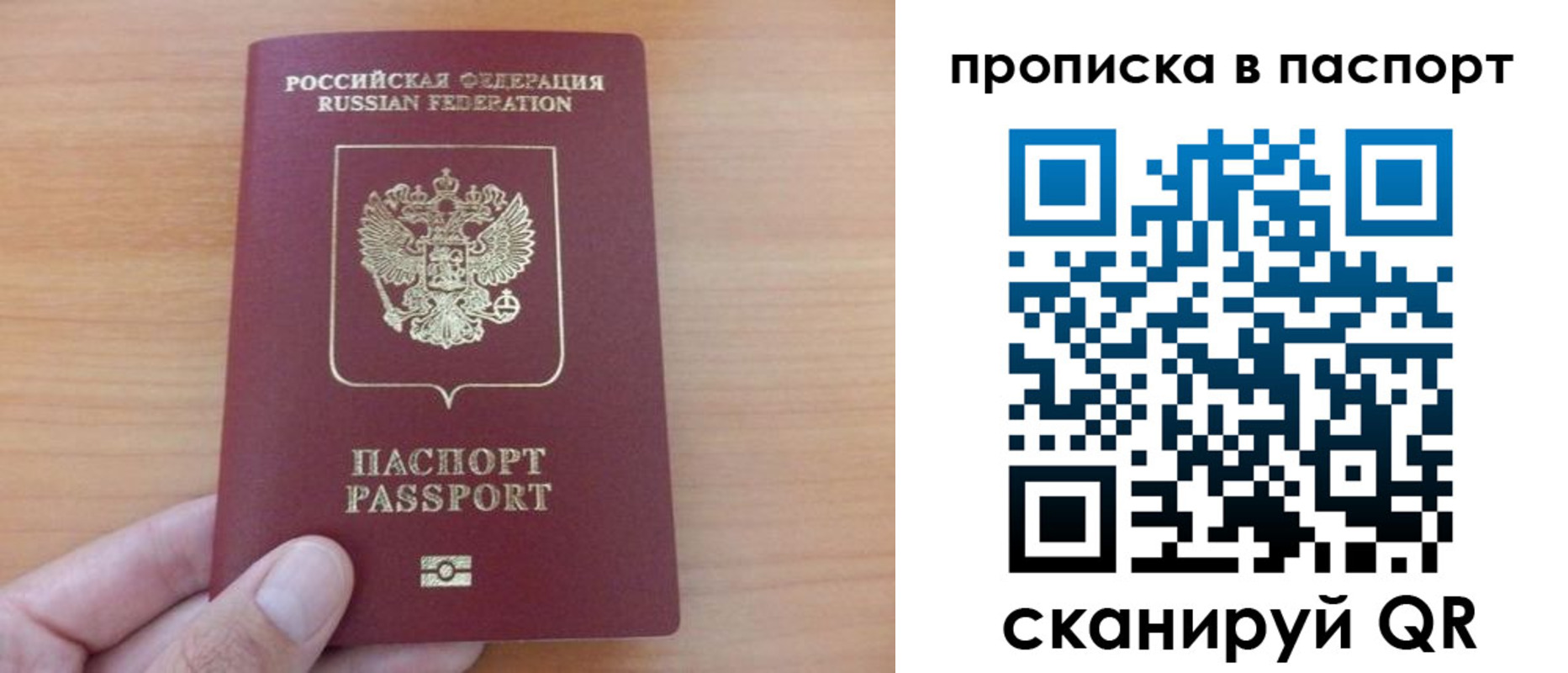 временная регистрация гарантия в Ленинградской области